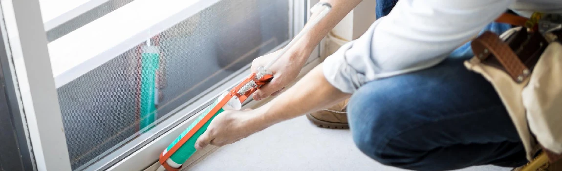 Emergency Window Replacement Services in Buenaventura Lakes, FL